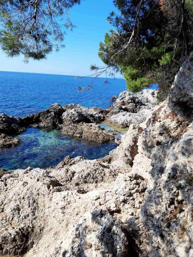 Apartments Ira Dubrovnik Eksteriør billede